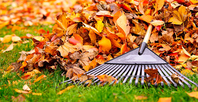 HMS Handyman Worcester | Garden maintenance, gardening services in Worcester