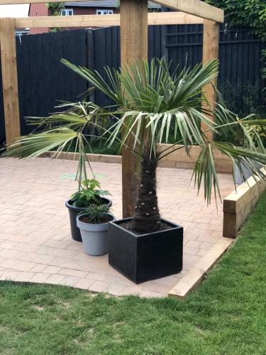 Garden Patio and Gazebo Project in Worcester 